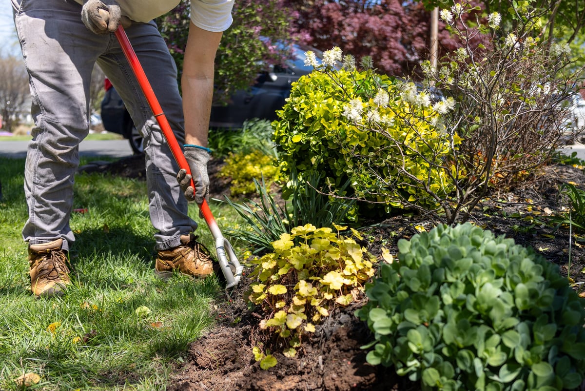 Man uses edging shovel to prepare flower bed for mulch